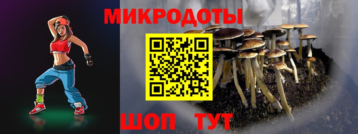 Шали  Галлюциногенные грибы GOLDEN TEACHER  Вход с VPN 