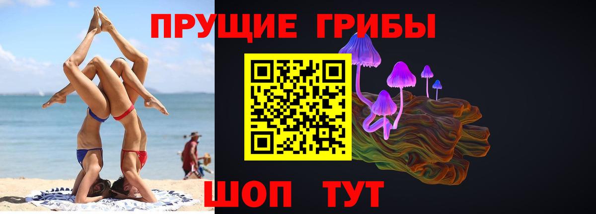 Псилоцибиновые грибы Cubensis Шали